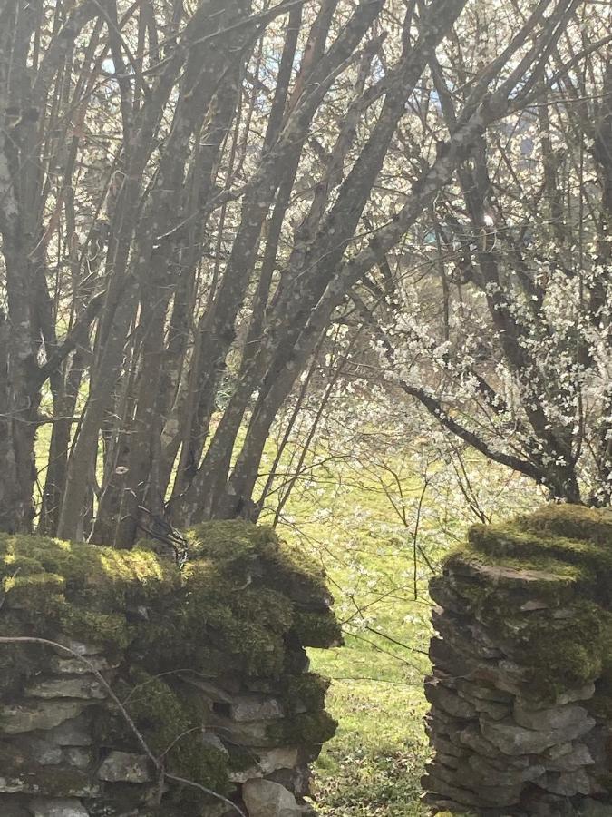 Le Jardin De Theleme "Charme Discret Pour Un Nid Douillet" Villa Mazille Exterior foto